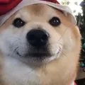 LWGreed